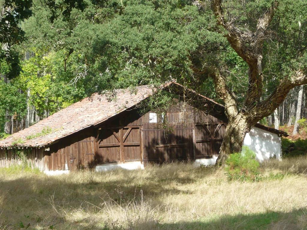 Appartements à côté Lac Marin de Port d'Albret Vieux-Boucau-les-Bains Exterior foto